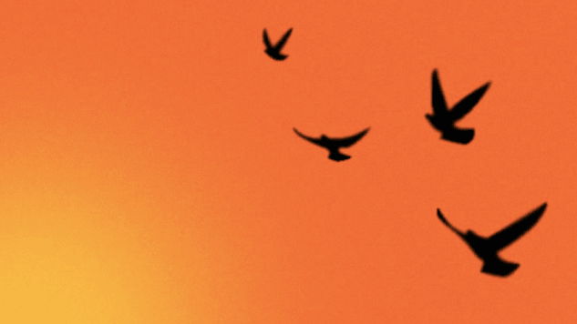The 10 Best Quotes from Maya Angelou's <i>I Know Why the Caged Bird Sings</i>