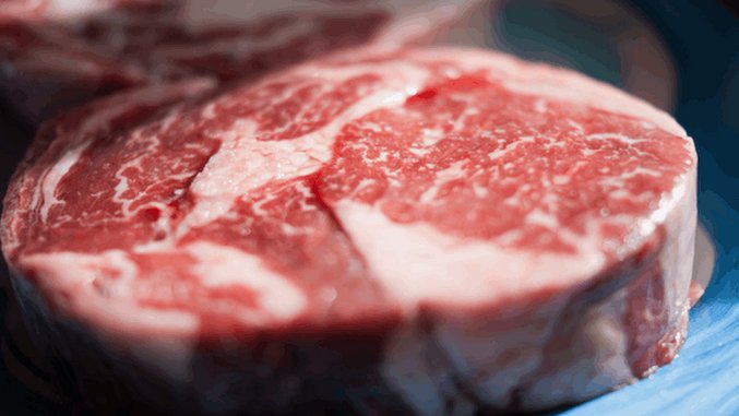 5 Weird (And Serious) Meat Art Pieces