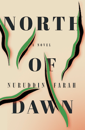 north of dawn cover-min.png