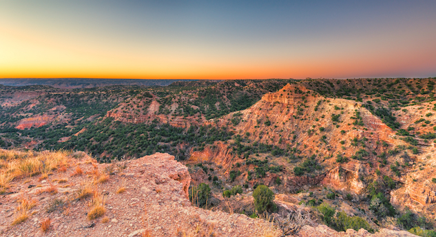 palo duro.jpg