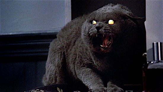 pet sematary.jpg