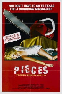 pieces poster (Custom).jpg
