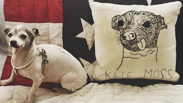 Textile Artist Hyla Frank Makes Pup Pillows That Will Make You Melt