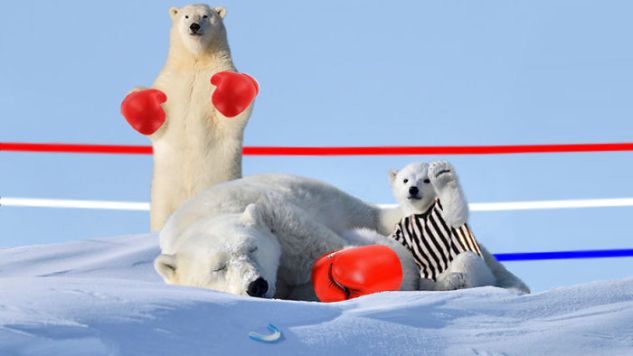 This Friendly Polar Bear Cub Stars in a Hilarious Photoshop Battle