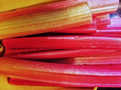 rhubarb (400x299).jpg
