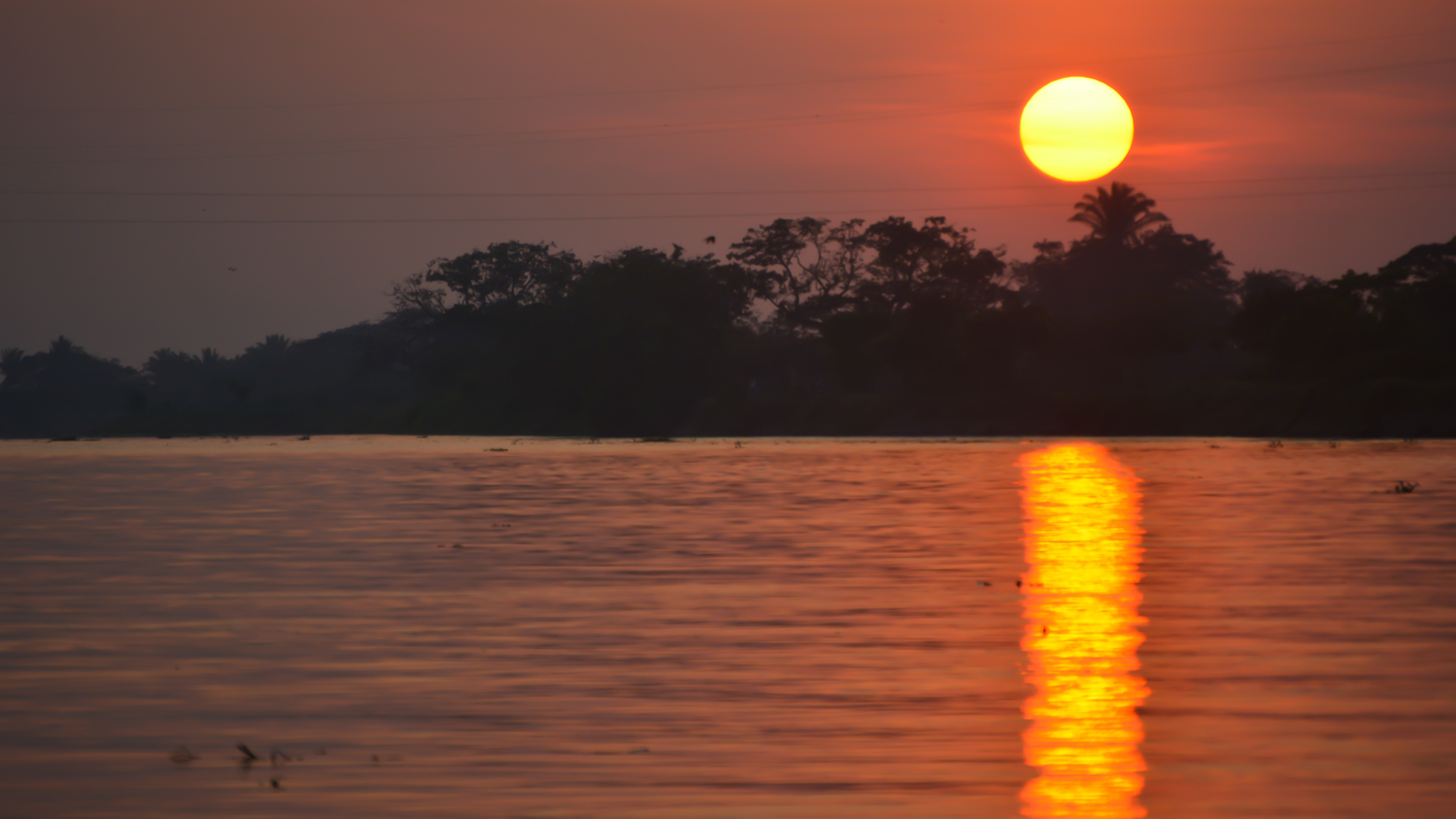 EarthRx: Can the World's Love for Gabriel Garcia Marquez Save Colombia's Magdalena River?