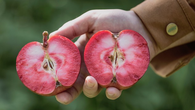 The Hunt for Rosé Cider