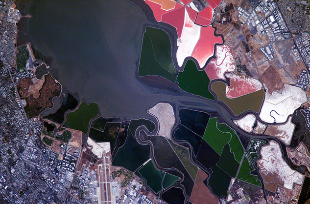 san-francisco-salt-ponds.jpg