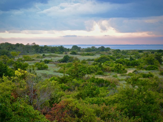 sandy-hook-north-beach-credit-jenn-hall.jpg