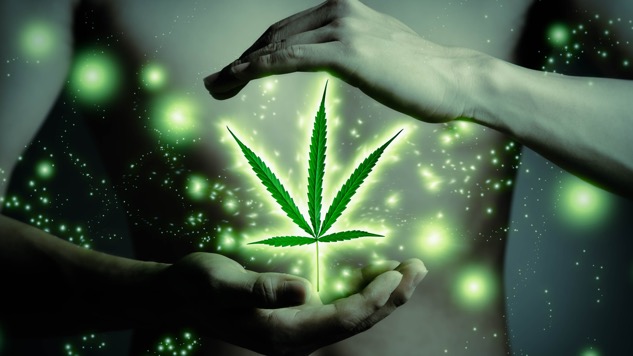 Cannabis Connection: The Gateway Drug Theory You've Never Heard