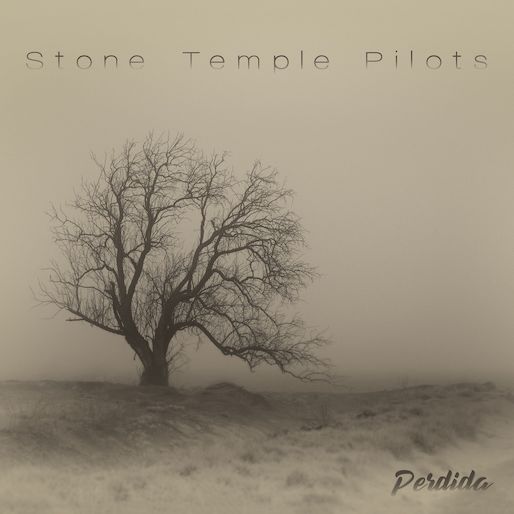 stone temple pilots down the river