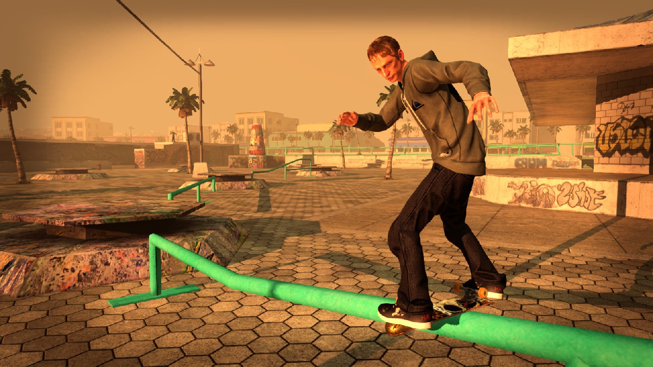 tony hawk screen.jpg