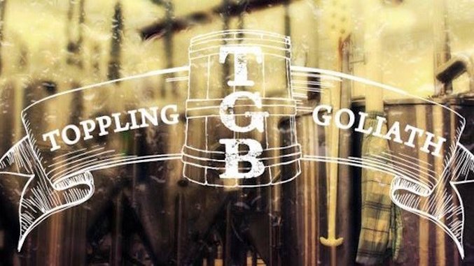 19 Questions for Toppling Goliath