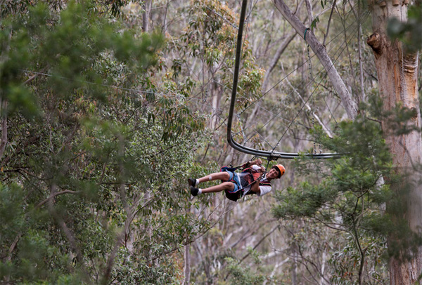 treetop-crazy-rider.jpg