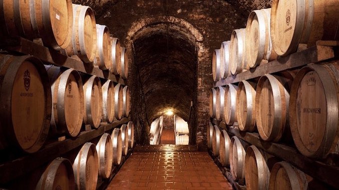 A Photo Journey Through Tuscany's Wineries