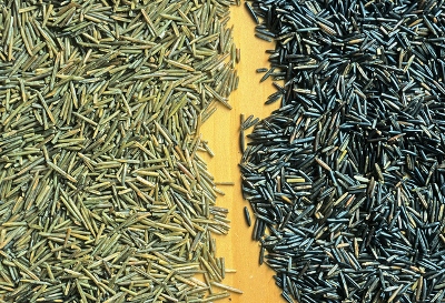 wild rice (400x273).jpg