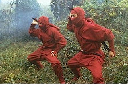 17-100-Best-B-Movies-enter-the-ninja.jpg