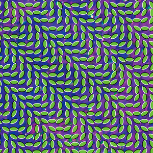 035_animal_collective_merriweather.jpg