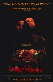 40.LikeWaterForChocolate.NetflixList movie image