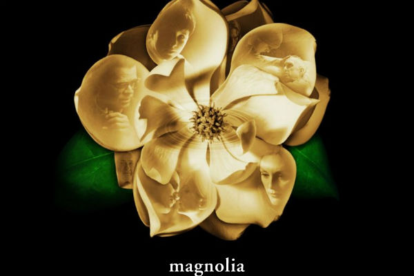 magnolia.jpg