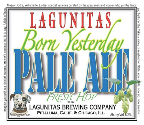 Lagunitas-born-yesterday.jpg