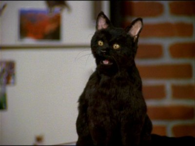 Salem_Saberhaguen.jpg