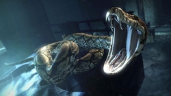 Thumbnail image for nagini.jpg