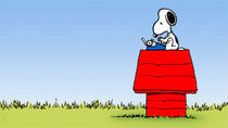 snoopy2.jpeg