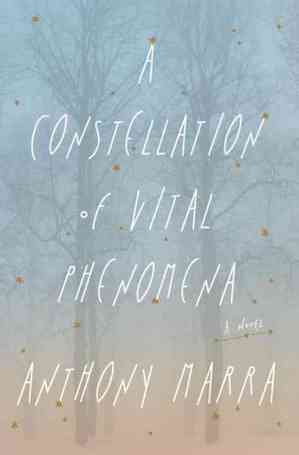 constellation vital phenom.jpg