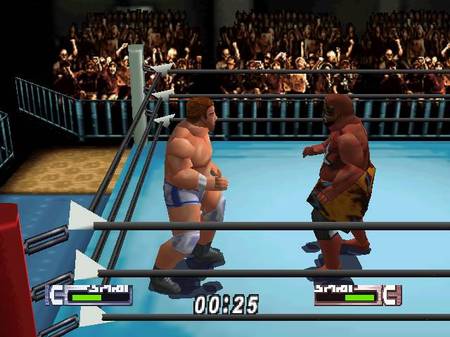 virtual pro wrestling 2.jpg