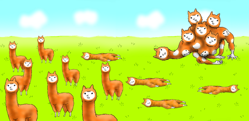 alpaca evolution.png