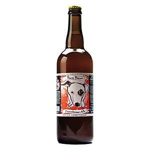 jolly pumpkin bam biere.jpg