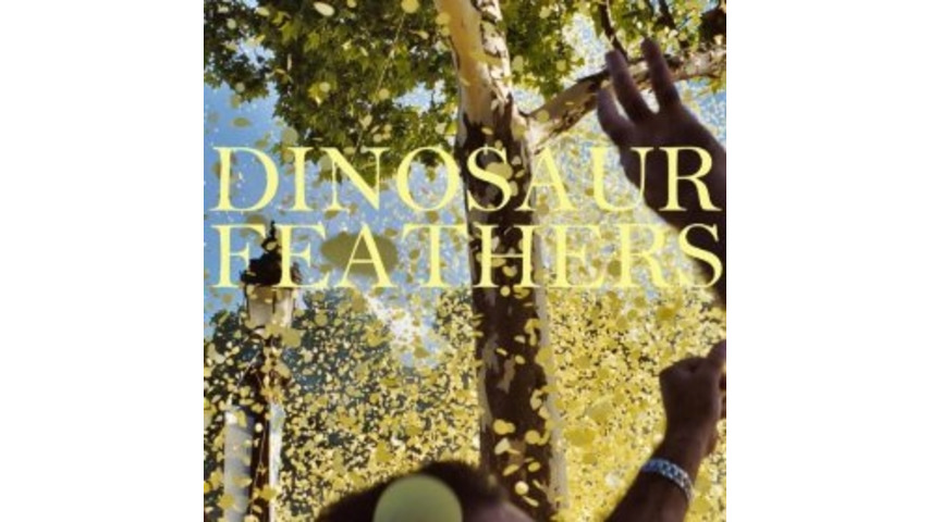 Dinosaur Feathers: <i>Whistle Tips</i>