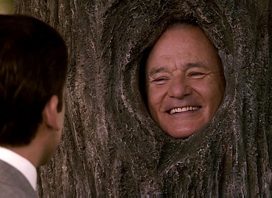 bill murray get smart the roles of a lifetime bill murray movies bill murray get smart the roles of a lifetime bill murray movies