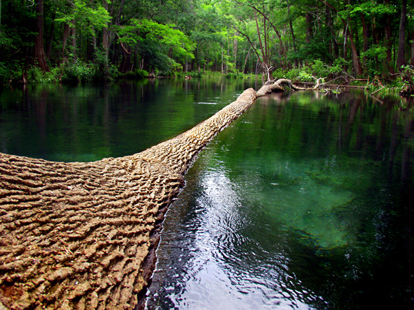 10 Great State Parks in Florida :: Travel :: Galleries :: State Parks
