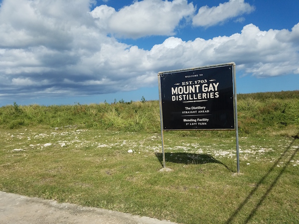 Mount Gay Barbados 49