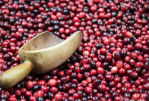 overlooked-superfoods cran-carn