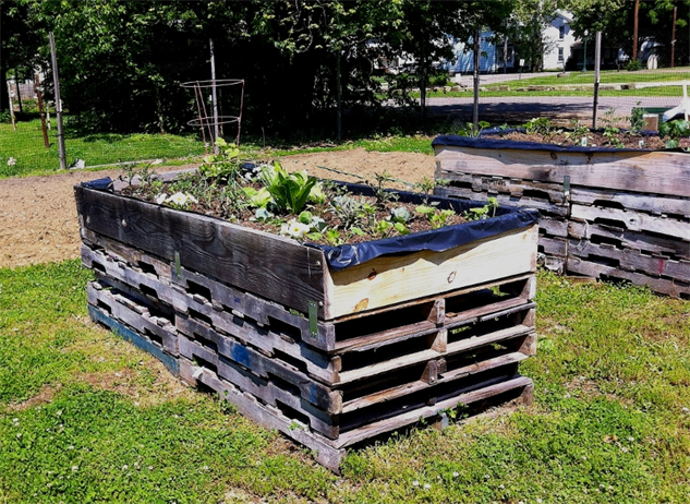 Build a Simple Elevated Garden Bed :: Food :: Galleries 