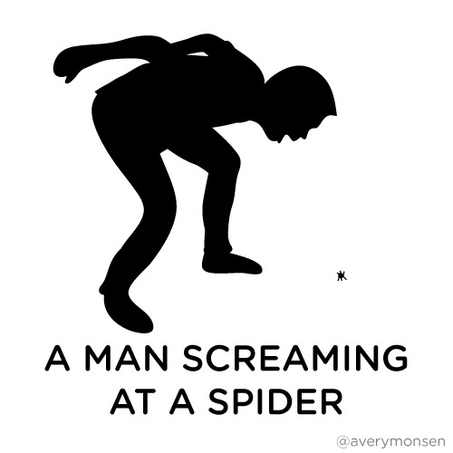 spider.jpg?1384968217