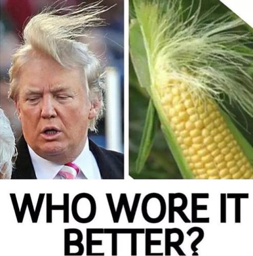 [Image: trump-vs-corn-who-wore-it-better-meme.jpg?1384968217]